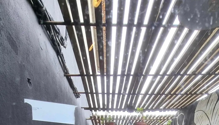 Borneo Coffee -  Comentario 2 - La Barra