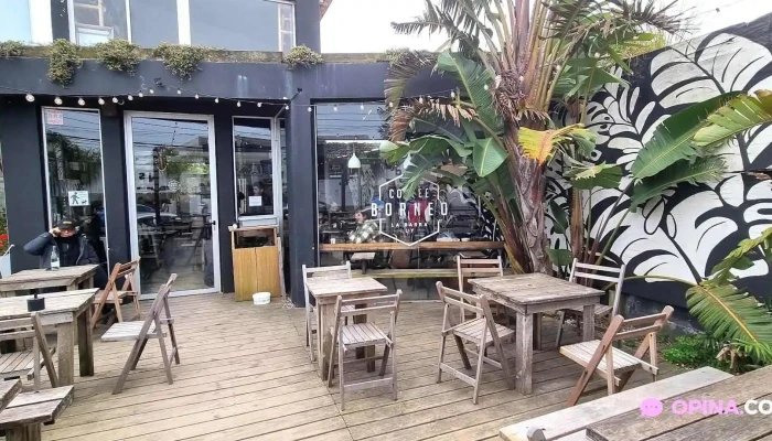 Borneo Coffee -  Recientes - La Barra