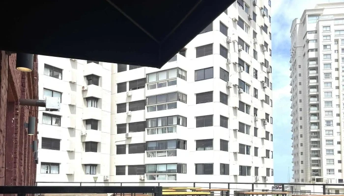 Box Garden -  Catalogo - Punta del Este