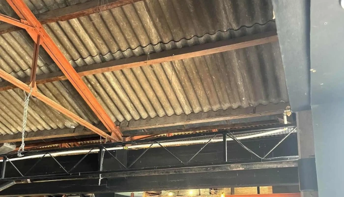 Box Garden -  Fotos - Punta del Este