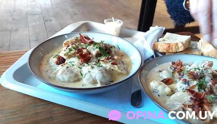 Box Garden -  Videos - Punta del Este