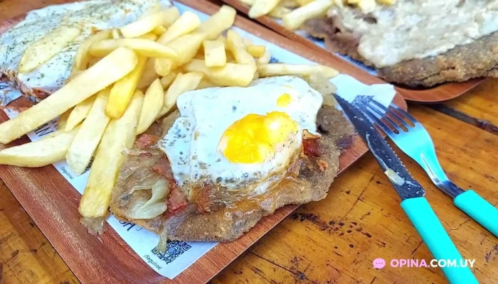 Box Garden -  Videos - Punta del Este