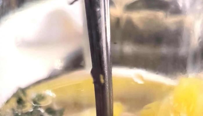 Brandi -  Comentario 5 - Montevideo