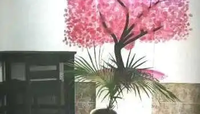 Brio Comida Artesanal Videos - Las Piedras