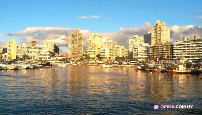 Brisas Del Este -  Todas - Maldonado