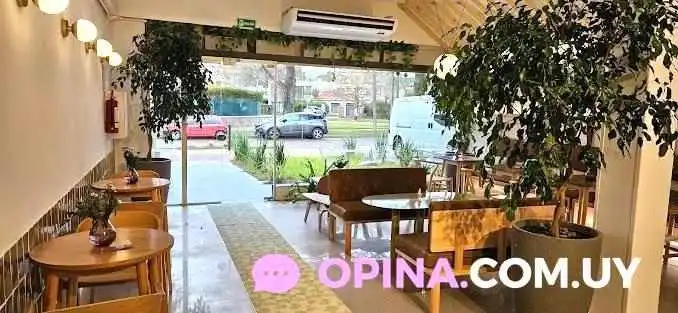 Brothaus Ambiente - Montevideo