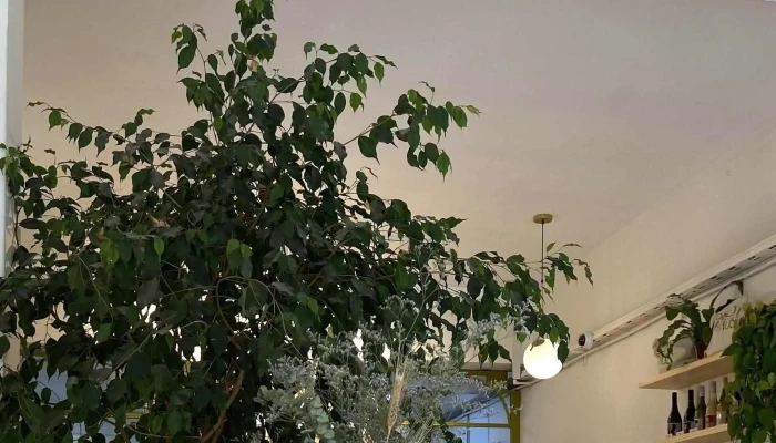 Brothaus Comentario 2 - Montevideo