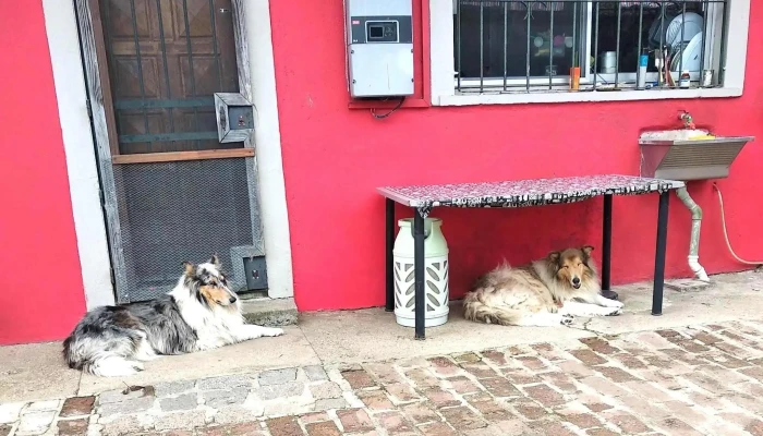 Brujula Cafe Comentario 3 - Montevideo