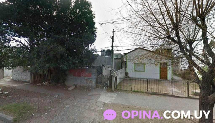 Bryan Codoni - Carreras Nacionales