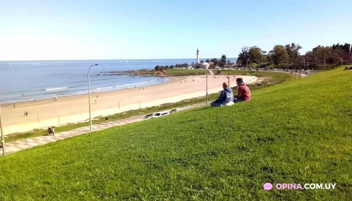 Buceo -  Videos - Montevideo