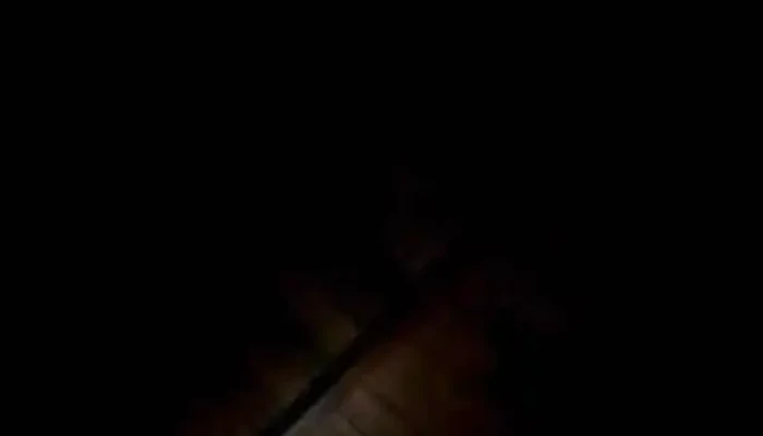 Bufet Stecon -  Videos - Vergara