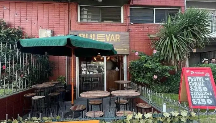 Bulevar -  Del Propietario - Montevideo