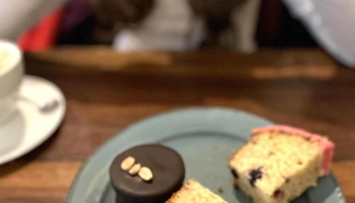 Bulevardo -  Comentario 4 - Montevideo