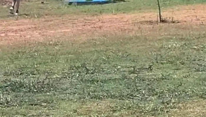 Burger King -  Videos - Minas