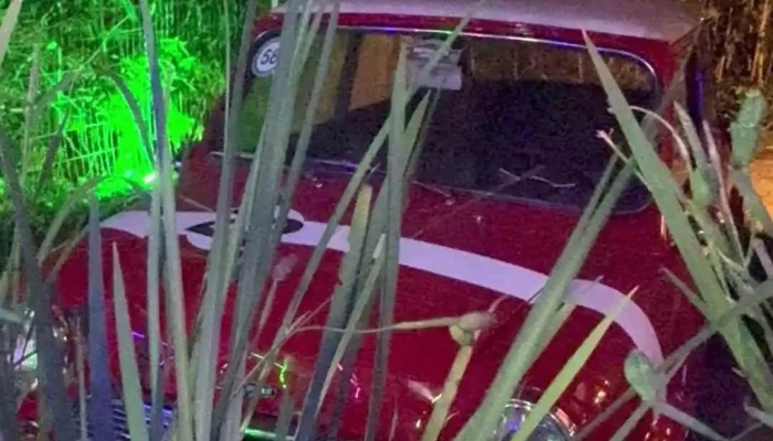 By Mora Sushi Bar -  Del Propietario - Punta del Este