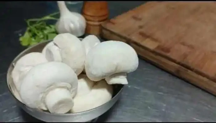 C -  Videos - Lascano