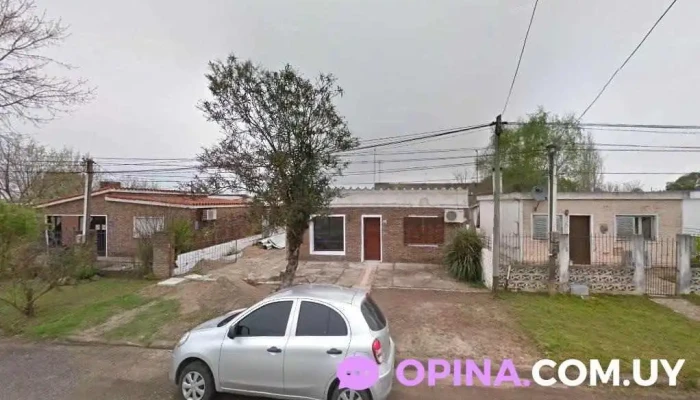 Caballo Azul - Libertad