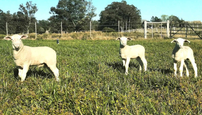 Cabana El Camino Precios - Canelones