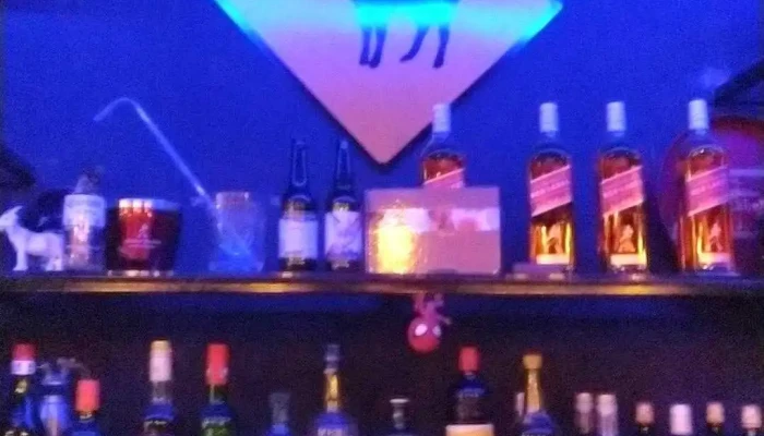 Cabra Bar -  Ambiente - Montevideo