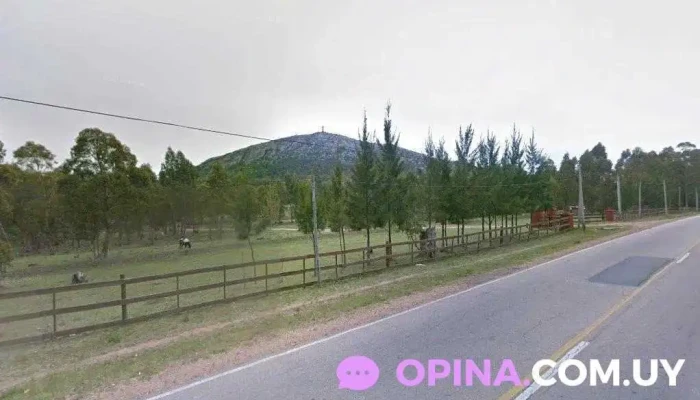 Cabrera Barbershop - 20200 Piriápolis