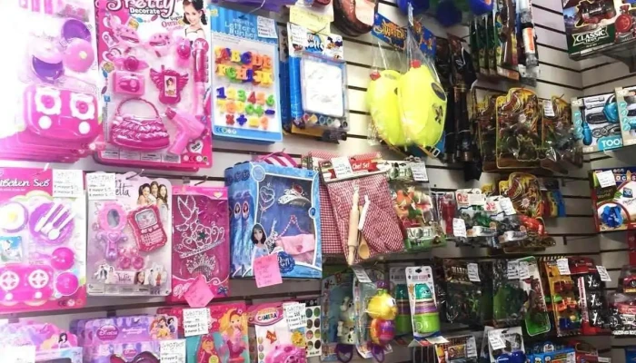 Cactus Mayorista Jugueteria Y Papeleria Juguete - Montevideo