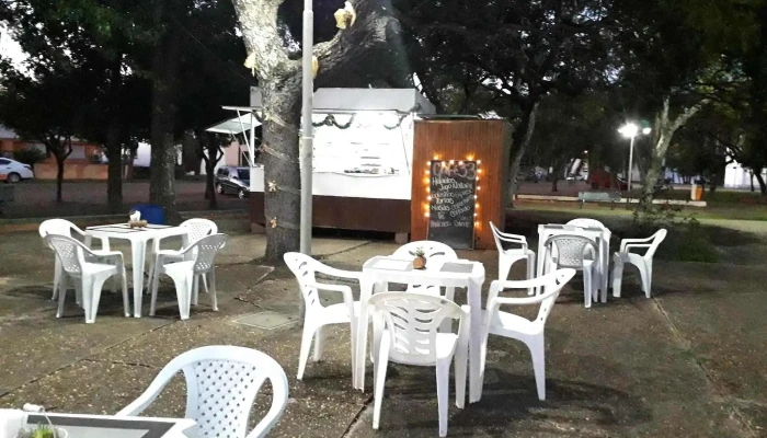 Cafe 33 Ambiente - Constituci&oacute;n