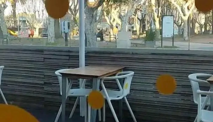 Cafe Apud Videos - Pando