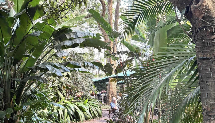 Cafe Artigas Comentario 5 - São Paulo