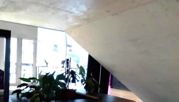 Cafe Cinemateca Comentario 6 - Montevideo