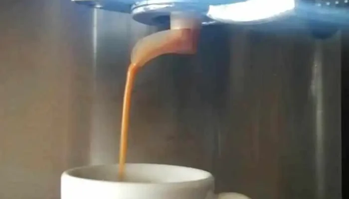 Cafe D Mar Videos - La Paloma