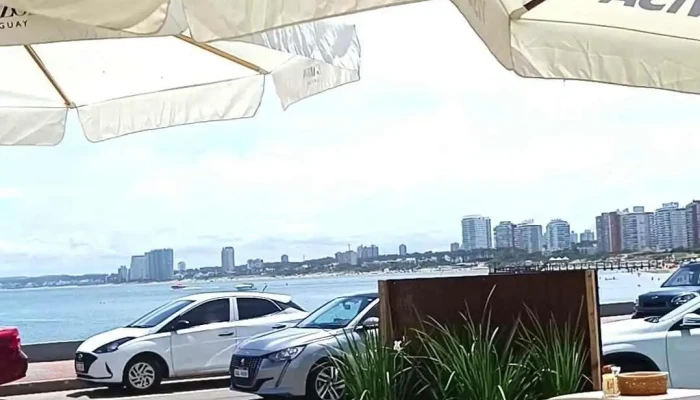 Cafe De La Mansa Zunino -  Videos - Punta del Este
