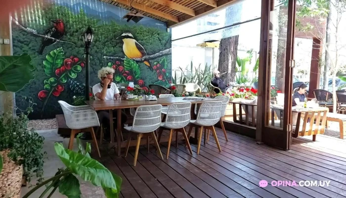 Cafe De Tomy -  Videos - Punta del Este