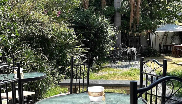 Cafe Del Jardin Ambiente - Montevideo