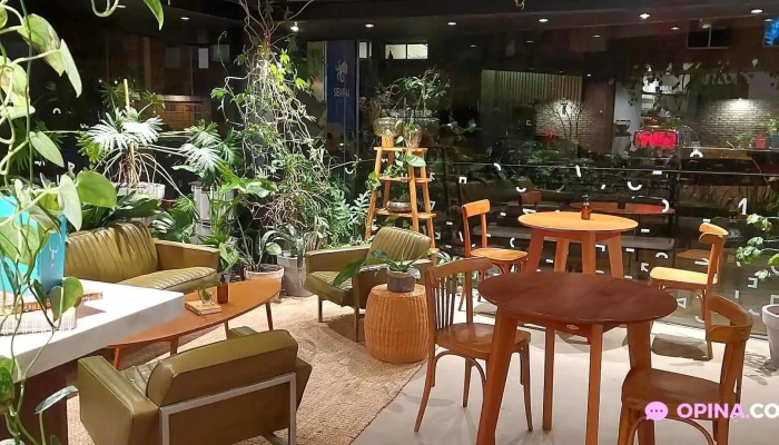 Cafe Golf Ambiente - Montevideo