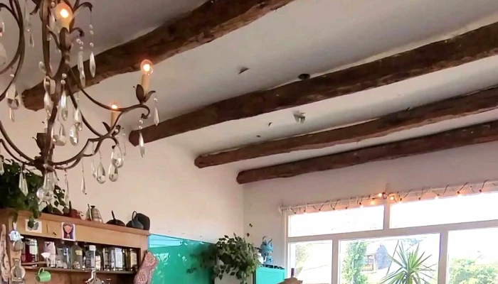 Cafe Guasu Comentario 2 - El Tesoro