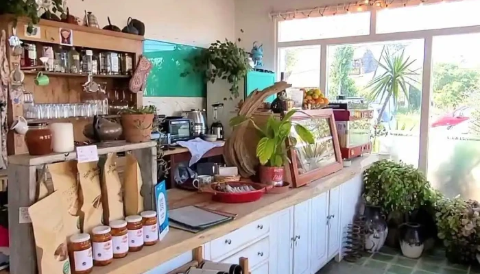 Cafe Guasu Videos - El Tesoro