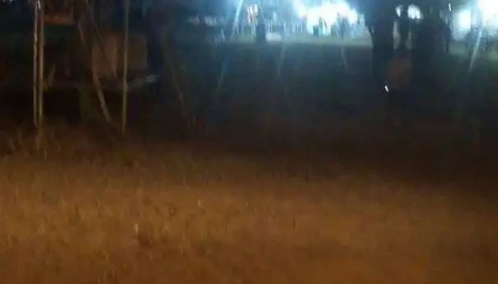 Cafe Misterio Videos - Montevideo