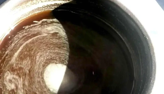 Cafe Nomade Videos - Montevideo