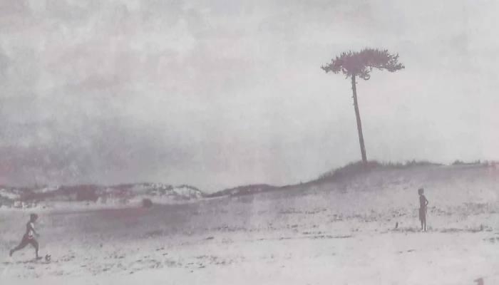 Cafe Politeama Comentario 2 - Canelones