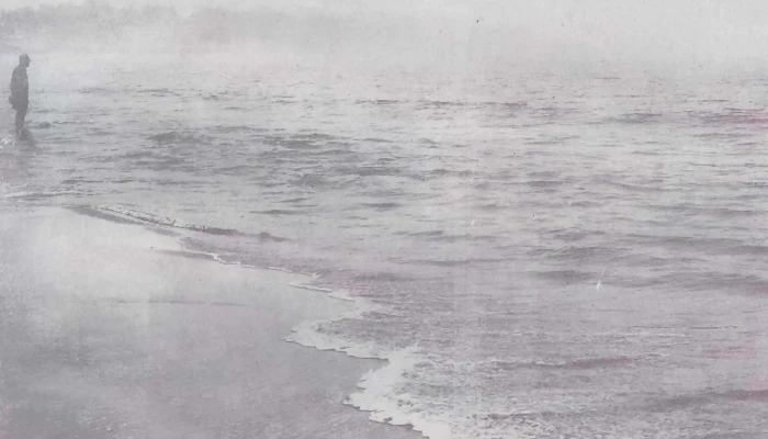 Cafe Politeama Comentario 3 - Canelones