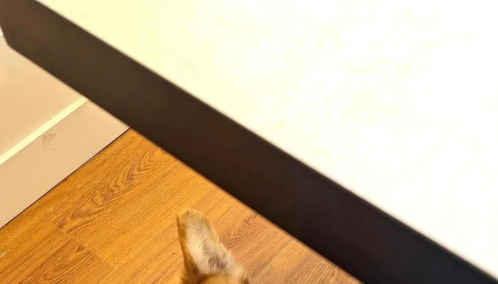 Cafe Tavoli Comentario 4 - Montevideo