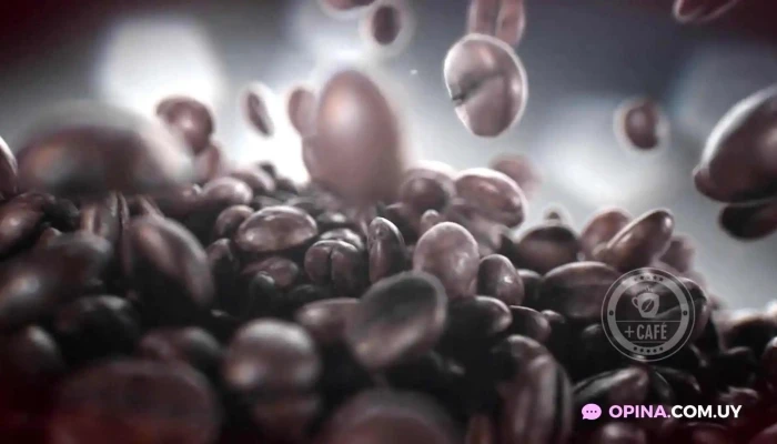 Cafe Terminal Del Propietario - Fray Bentos