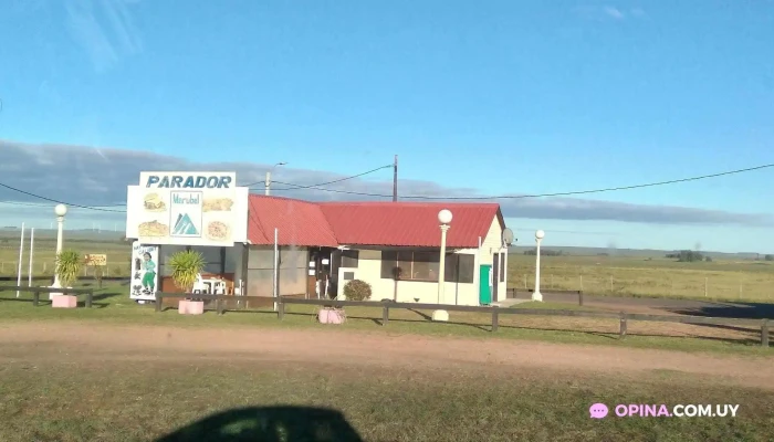 Cafe Tina Curtina Todo - Curtina