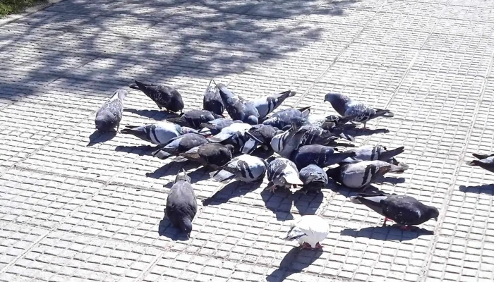 Cafe Y Canela Uruguay Comentario 8 - Maldonado