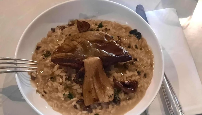 Cafe Zinc Comentario 3 - El Tesoro