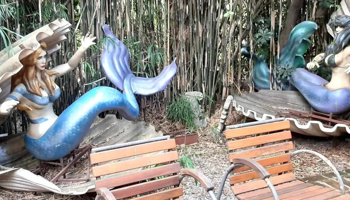 Cafe Zinc Comentario 9 - El Tesoro