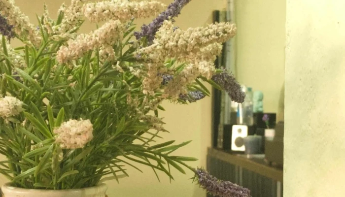 Cafeteria Carmela -  Comentario 2 - Tacuarembó