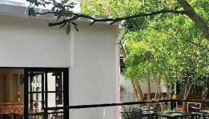 Cafeteria Dulce Avellana Ambiente - Las Piedras