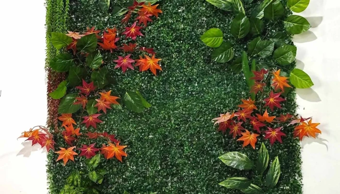 Cafeteria La Catalina Comentario 4 - Treinta y Tres