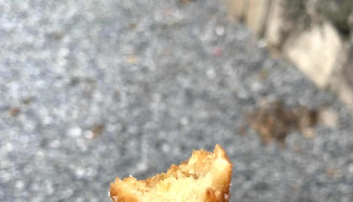 Cafeteria Pasteleria Florencia Comentario 9 - Col. del Sacramento